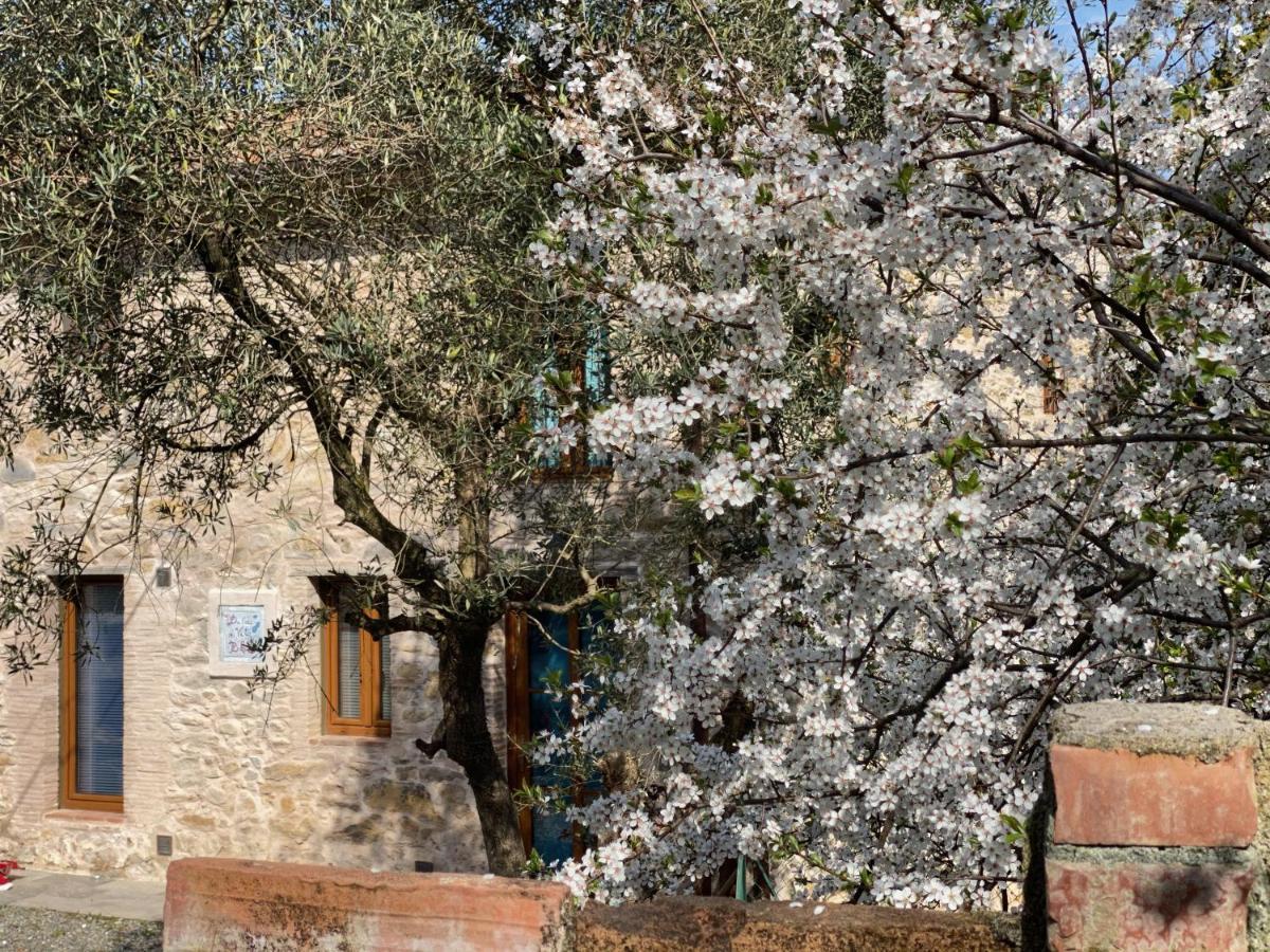 Dolce Vita In Tuscany Cottage Capannori Exterior foto