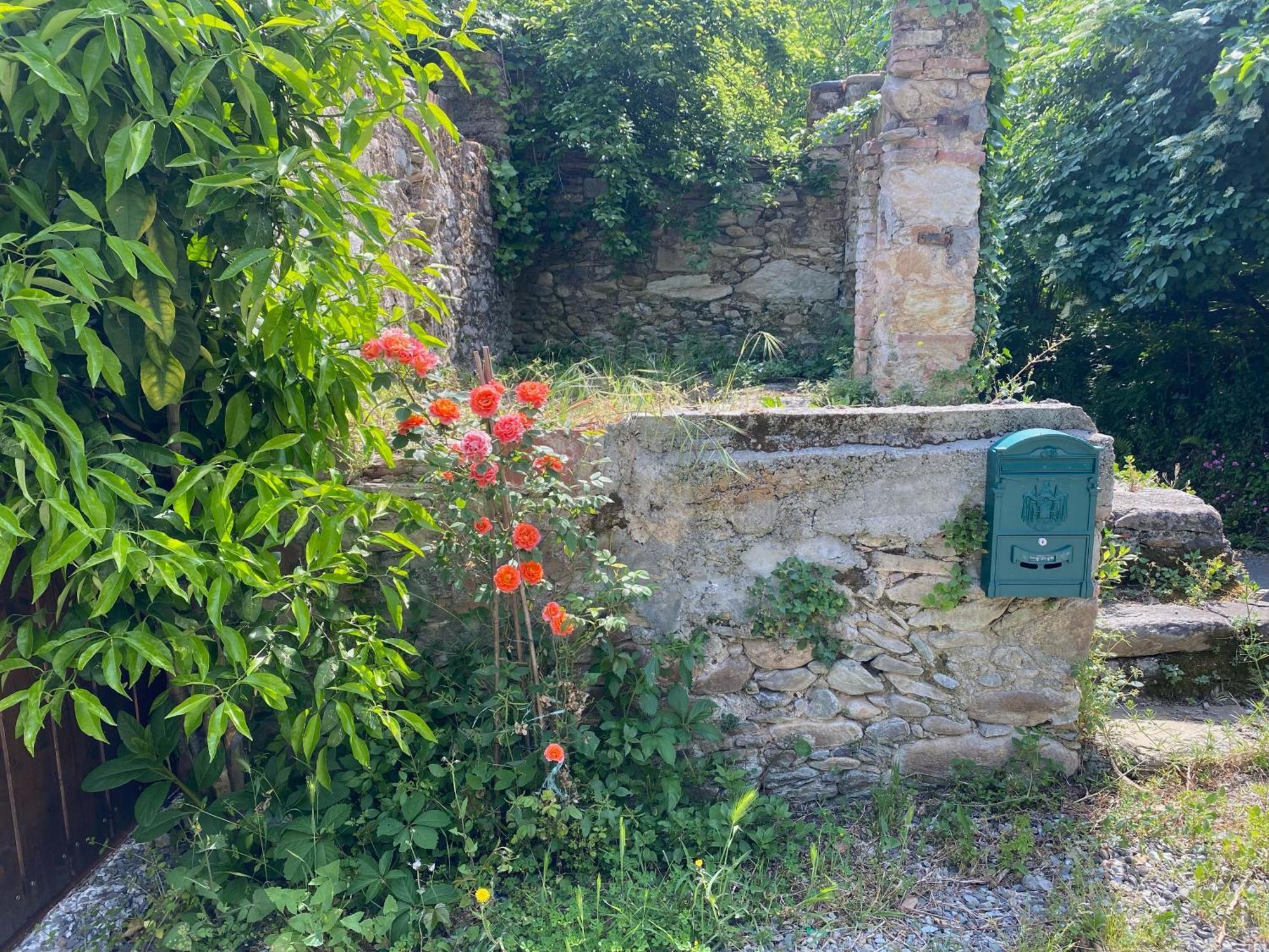 Dolce Vita In Tuscany Cottage Capannori Exterior foto